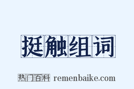 挺触组词是什么意思的图片